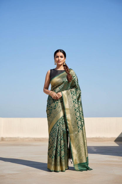 Banarasi saree,Banarasi georgette saree